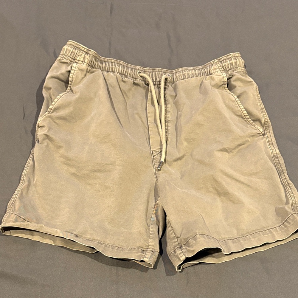 American Eagle Outfitters Men's Gray Shorts